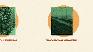 The “greenhouse effect” How an oft-touted climate solution threatens agricultural workers