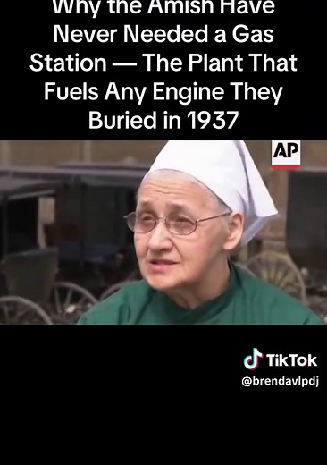 Amish Fuel Secret: The Plant That Powers Any Engine