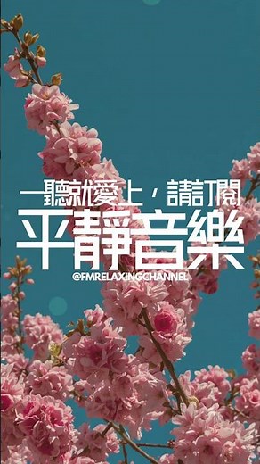 【PEACEFUL PIANO BGM】聽完覺得舒服嘅，請支持我一個訂閱。這裡有精選的柔和旋律，專為舒緩身心和減少焦慮而創作。讓我們一起踏上這段減壓旅程，享受平靜與安寧 #放鬆音樂