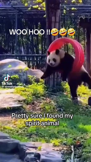 BANNOCK ❤❤ (@queen__bannock)’s videos with original sound - BANNOCK ❤❤