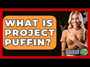 What Is Project Puffin? - Ecosystem Essentials
