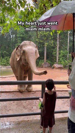 My heart just went 'mlem mlem'
