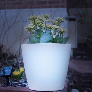 1.9M views · 9.7K shares | Light up your front porch with these solar planters!  | Nifty Outdoors | Facebook
