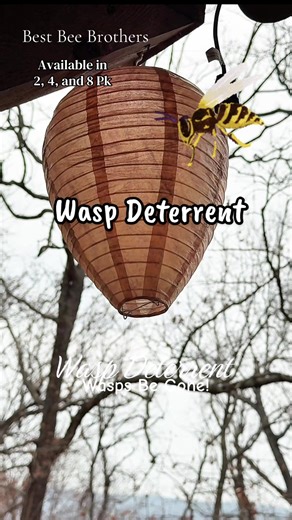 These hornet decors Have worked great for me from @Best Bee Brothers #wasps #waspsting #outdoorliving #waspdeterrent #tiktokshopstockup