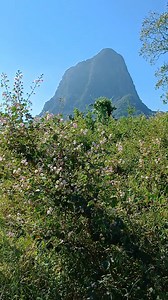 Hermosas flores que luce con el cerro/ Yeyektzij xochitinij | Vale Oso