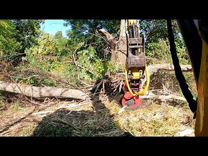 Cat 305 with FMX36 Mulching