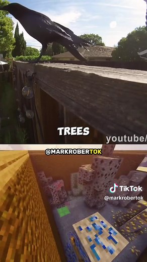 Squirrel vs Maze Part 20 | Mark Rober #fyp #markrober #viral