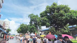 WATCH | Bicol Medical Center Celebrates #WorldPatientSafetyDay2024 Last September 17, 2024, Bicol Medical Center celebrated with World Patient Safety Day 2024 with a myriad of activities spearheaded by the BMC Hospital Patient Safety Committee. Let's take a look at some of the highlights of yesterday's morning program at the Upper Ground of the BMC General Wards Building. 🟠 #PatientSafetyDayPH #forBetterMedicalCare | Bicol Medical Center