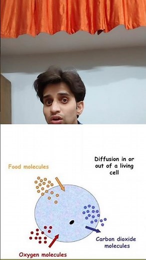 How do substances like CO, andwater move in and out of the cell? Discuss.