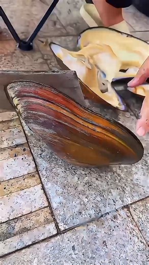 "Cutting Open a Clam"#ClamCutting #ClamOpening #ShellCutting #NatureShorts