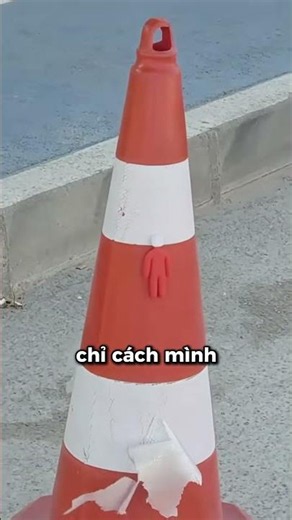 Những Mô Hình Ngụy Trang Đánh Lừa Mọi Ánh Nhìn