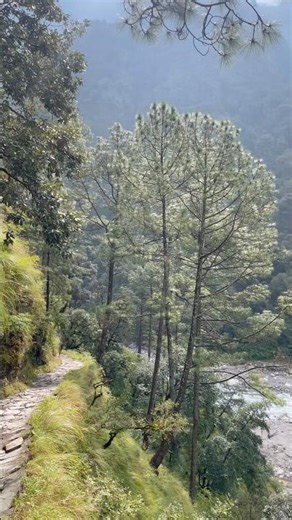 The Madmaheshwar Trek: A Complete Travel Guide