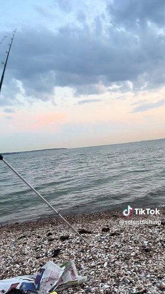 Come on fish #stillafterahound #fyp #foryoupag #fishing #ukfishing #seafishing #solentfishing #beachfishing