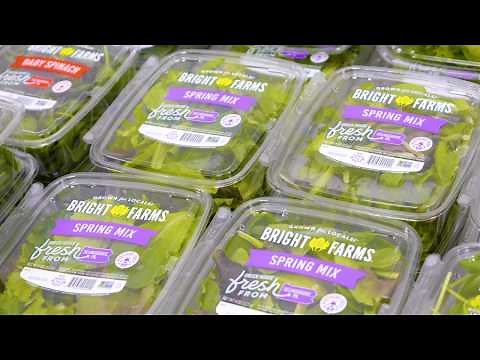 BrightFarms Opens its Largest Greenhouse in Selinsgrove, Pennsylvania