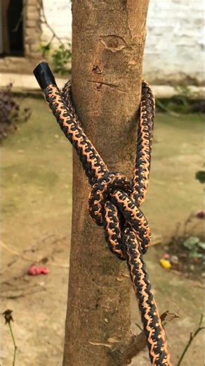 Perfect Locking Rope Knot on Tree#how #shorts👍