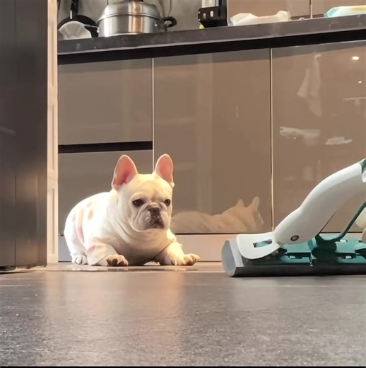 That's funny🤣🤣🤣