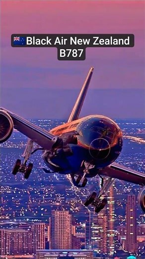 Black Air New Zealand B787 Flying Over Chicago 🇳🇿🌆 | Stunning Aerial View #shorts #aviation