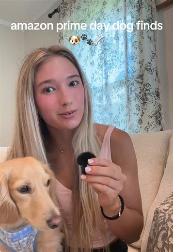 Amazon Prime Day Dog Finds: Best Deals for Dogs 2026