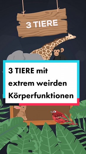 Fakten über Schildkröten und ihre Körperfunktionen
