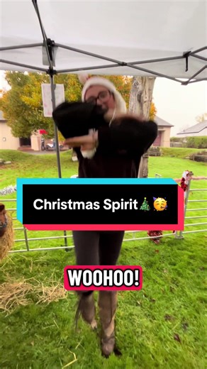 We are getting into the Christmas Spirit!! First Xmas after of the year with the ponies today! Ready to get my tree up in the house 🎄🥳🎄🥳 #christmasfayre #christmasponies #reindeer #christmasgift #christmasspirit