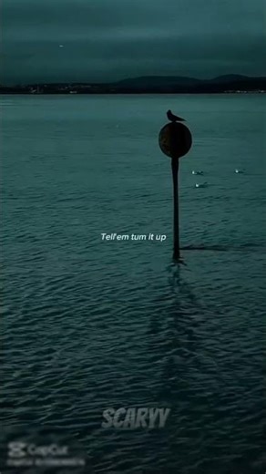 Courtesy call #short