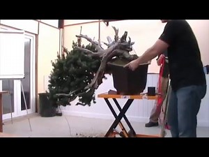 Ryan Neil Willowbog Demo Part 1