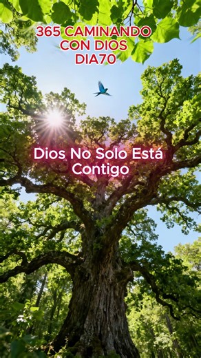 DIA70/365 REFLEXIÓN DEL MEDIODÍA ISAÍAS 41:10#devocional #palabradedios #dios #fe