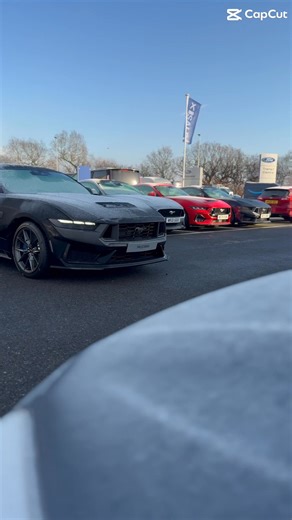 ❄️ Frosty mornings at Ford Exeter ❄️ Our Ford Performance line-up is turning heads, with 10 Mustangs and a Puma ST in stock, including 5 pre-registered Mustangs available now! Get in touch today! 🌐 https://nuvi.me/yhin2d | Vospers Ford Exeter