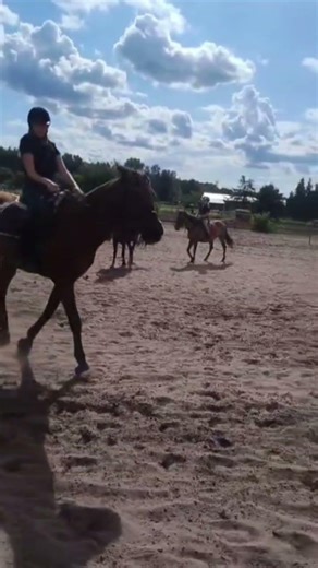 Coś z obozu na Ignitusie