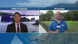 DOT gives update on Pali Highway raised crosswalks, ongoing resurfacing project