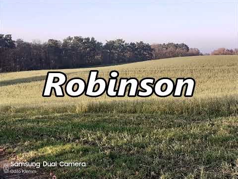ROBINSON as a family name its meaning and origin