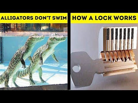 How Things Actually Work