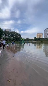 1.2M views · 26K reactions | Nothing beats a Typhoon holiday! #alexd #hoctienganh #speaking | AlexD Music Insight | Facebook