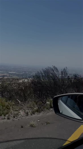 Cutting Techniques from Professional Football Player