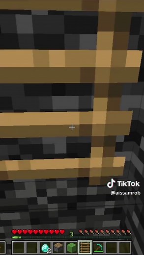 Minecraft_ That Was Close...🤯 (World_s Smallest Violin) _minecraf