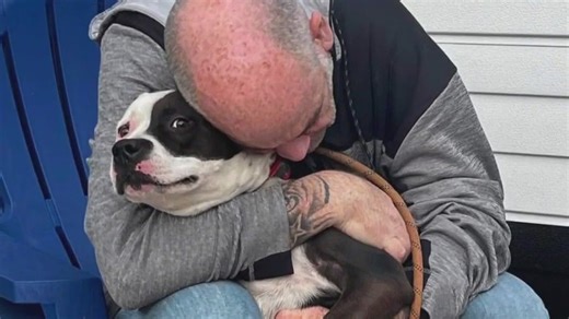 Charity cares for dogs owned by hospitalized veterans