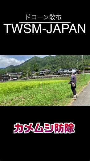 カメムシ防除