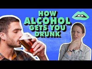 Here's What Happens To Your Body When You Get Drunk