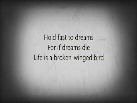 Langston Hughes Best Poem Dreams