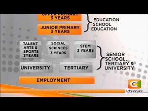 How the proposed 2-6-6-3 education system differ from 8-4-4