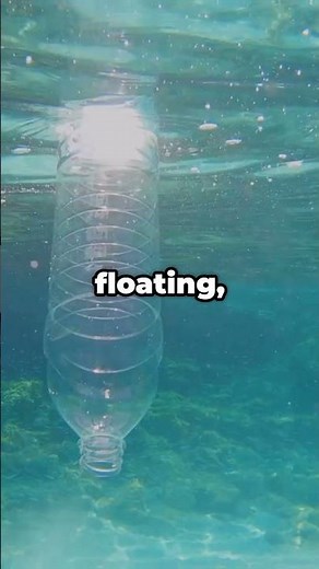 What Happens to Plastic in Ocean After 100 YEARS?