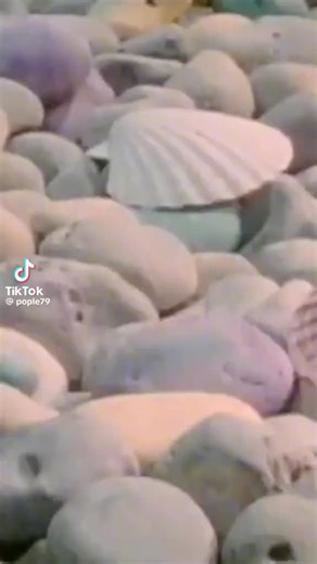 Videos de exedjs (@exequiel.hidalgo10) con “Ship of Fools - Erasure”