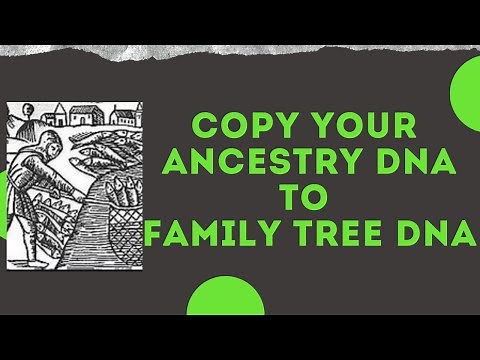 How to Transfer Ancestry DNA to Family Tree DNA