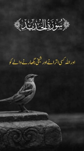 Surah Al-Hadeed (Ayat 22-24) #islamicvideo #fatehmuhammadjalandhari #unfrezzmyaccount