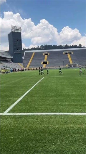 ⚽️⚽️⚽️💚É O TERCEIRO DAS PALESTRINAS E O SEGUNDO DA BRENA! #PaulistaoFemininoSicredi #DerbyFinal