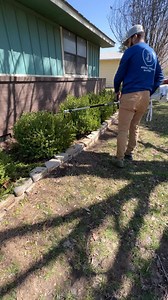 35K views · 13 comments | Boxwood trimming! #boxwoods #shrubtrimming #lawncare #landscaping #lawngram #dslawnandlandscape #ballshrubs #shapeup #wintergemboxwoods | D’s Lawn & Landscape | Facebook