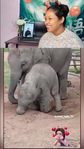 Gajjo Gajodhar nam hai mera- #ElephantBaby #CuteAnimals #BabyElephant #AnimalShorts #WildlifeShorts