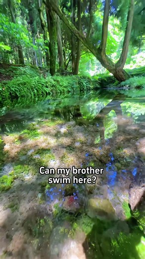 Discover the Beauty of America's Turquoise Spring Lake