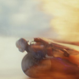 186K views · 974 reactions | Captain America has arrived in IMAX. Get your tickets to see Marvel Studios' Captain America: Brave New World, in theaters now. | Marvel Studios | Facebook