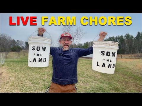 🔴 Sow the Land is live!